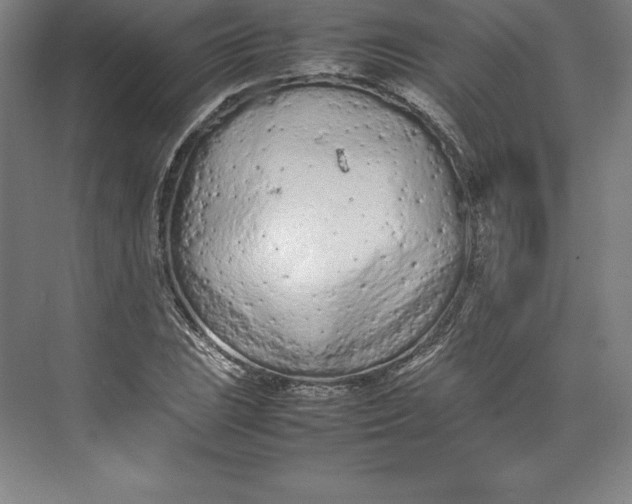 X0000074931023200609221633