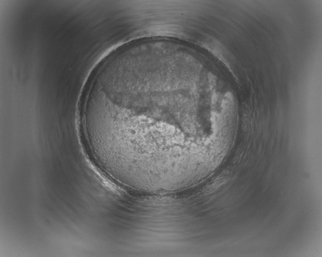 X0000074931024200609221633