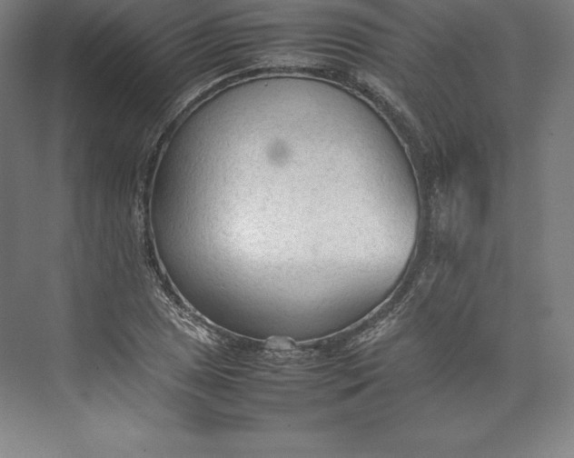 X0000074931025200609221633