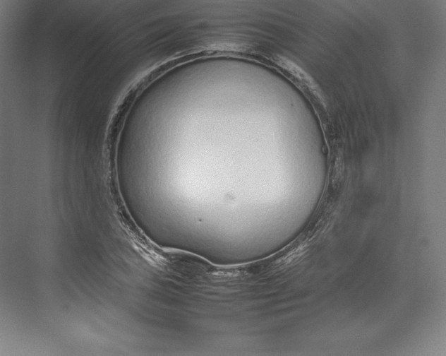 X0000074931027200609221633