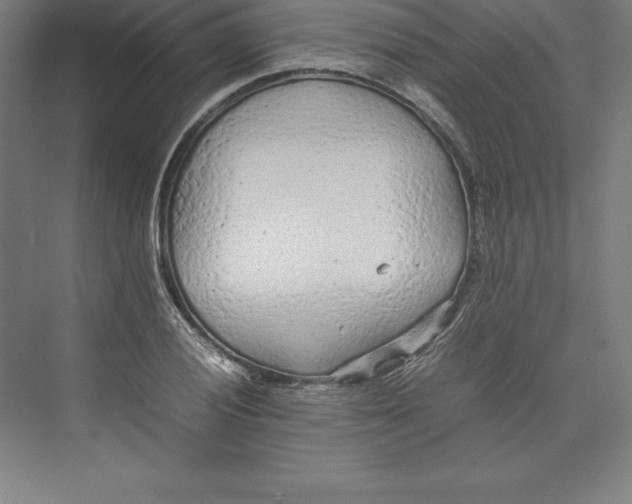 X0000074931028200609221633