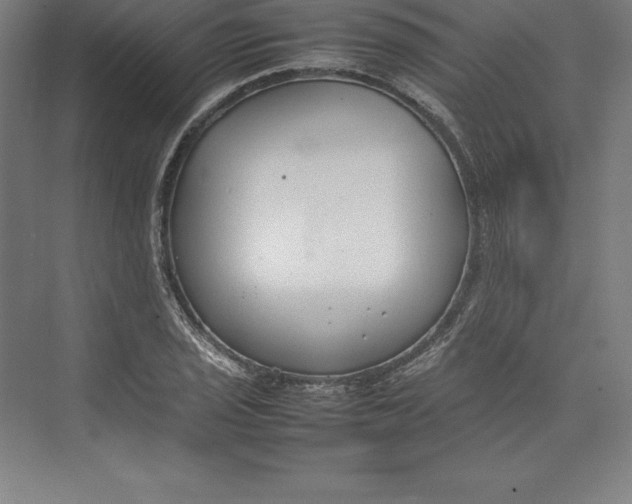 X0000074931029200609221633