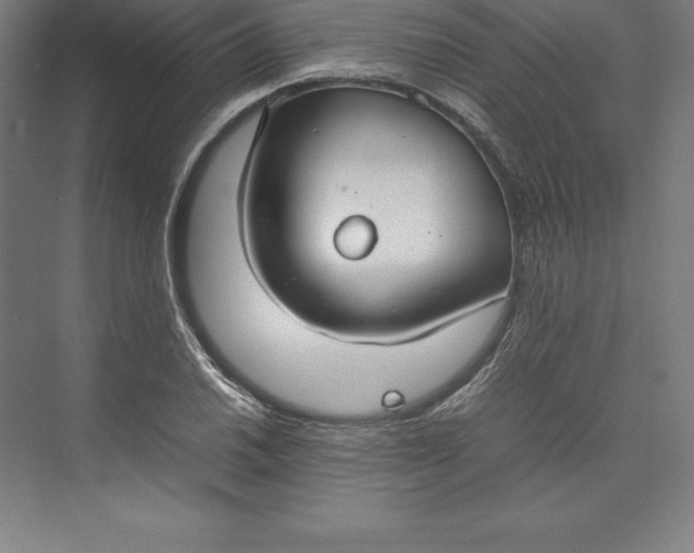 X0000074931030200609221633