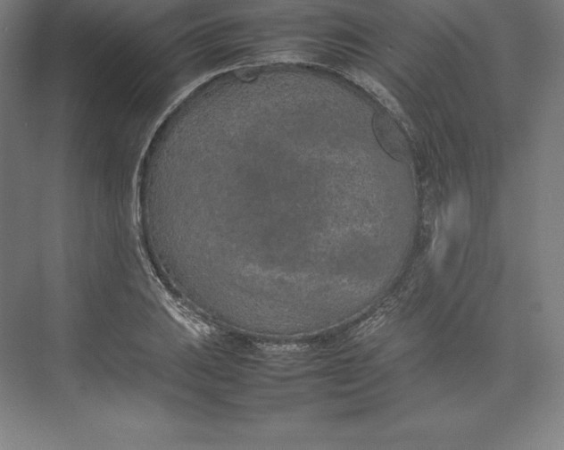 X0000074931031200609221633