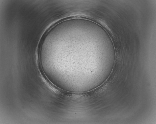 X0000074931032200609221633