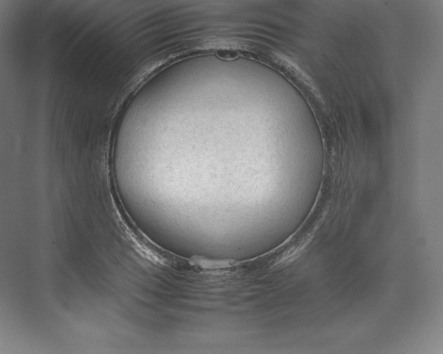 X0000074931033200609221633