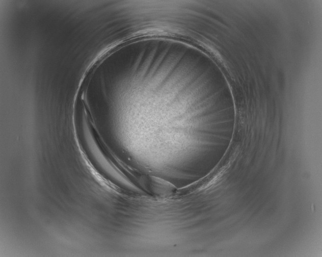 X0000074931034200609221634