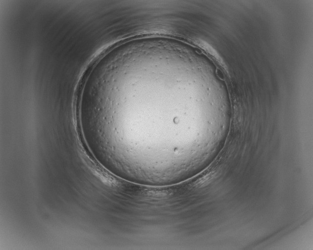 X0000074931035200609221634