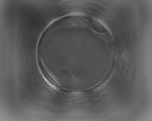 X0000074931037200609221634