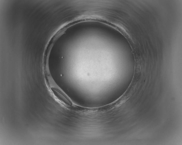 X0000074931038200609221634