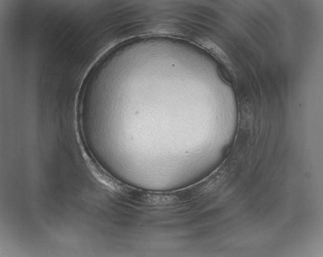 X0000074931039200609221634