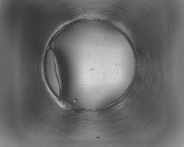 X0000074931040200609221634