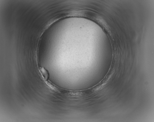 X0000074931041200609221634