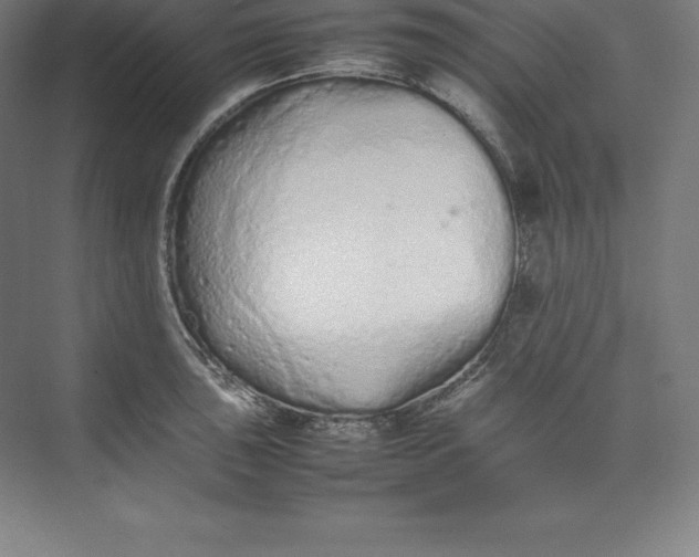 X0000074931043200609221634