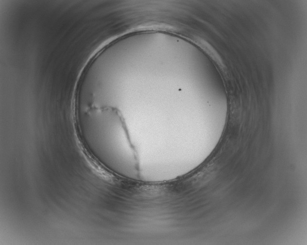 X0000074931044200609221634