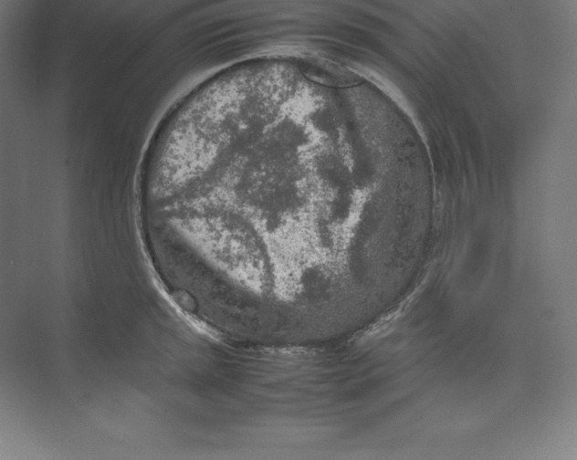 X0000074931045200609221634