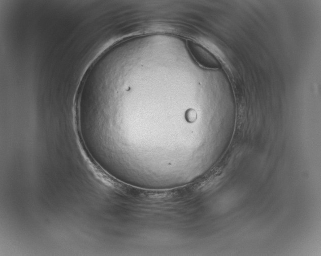 X0000074931047200609221634