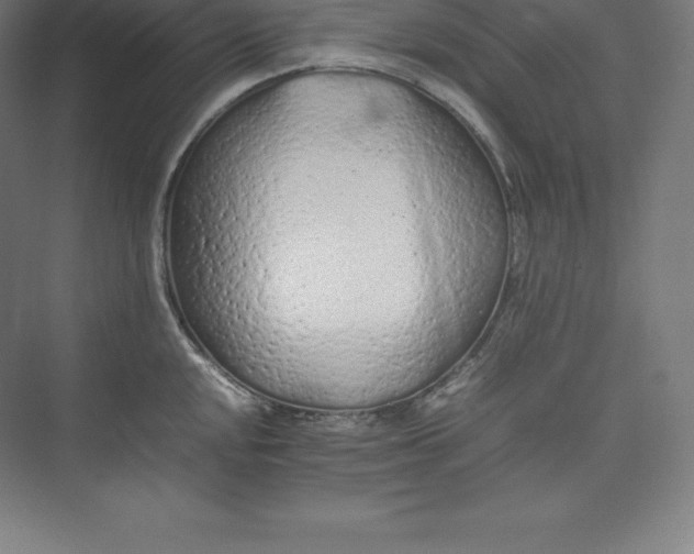 X0000074931048200609221634