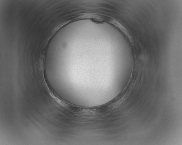 X0000074931049200609221634