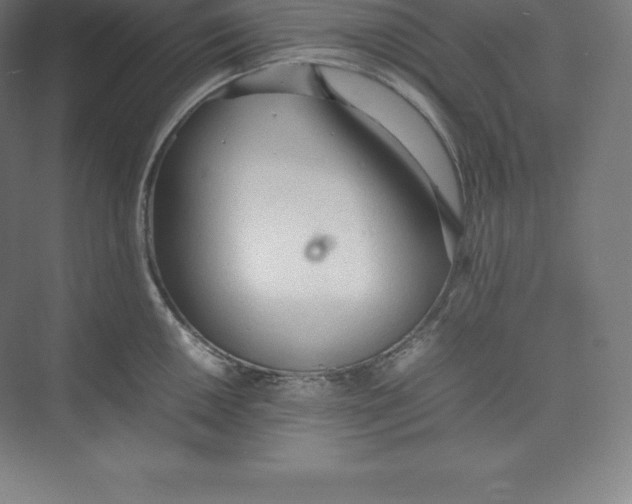 X0000074931050200609221634