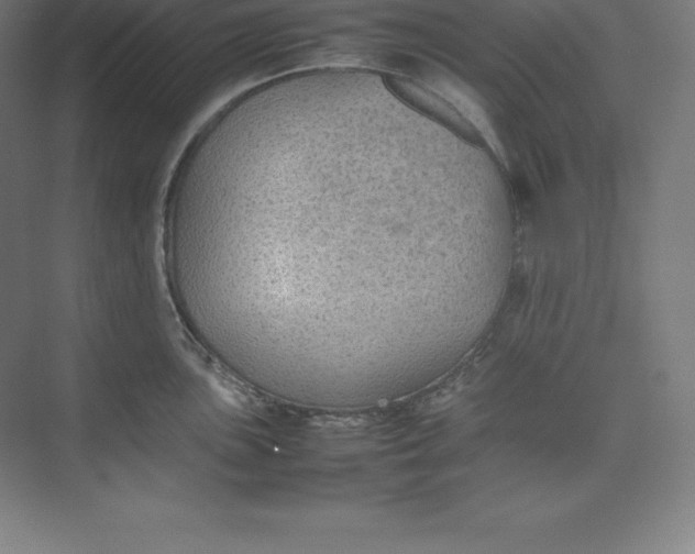 X0000074931051200609221634