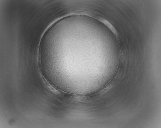 X0000074931052200609221634