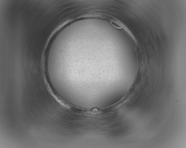 X0000074931053200609221634