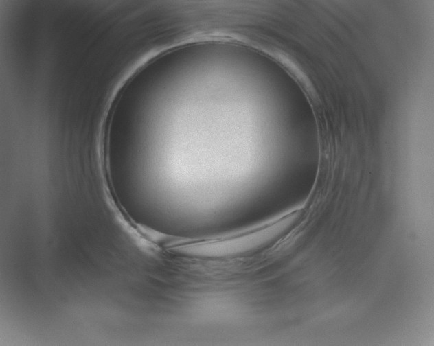 X0000074931054200609221634