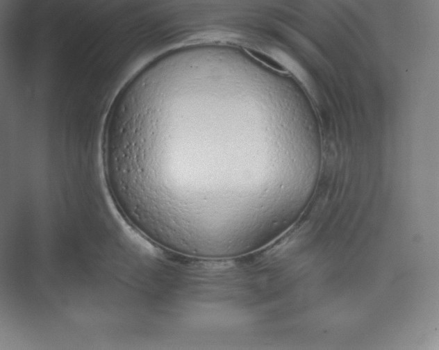 X0000074931055200609221634