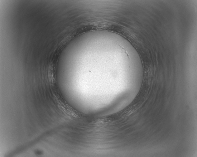 X0000074931058200609221633