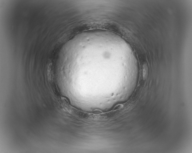 X0000074931059200609221633