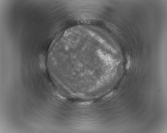 X0000074931060200609221633