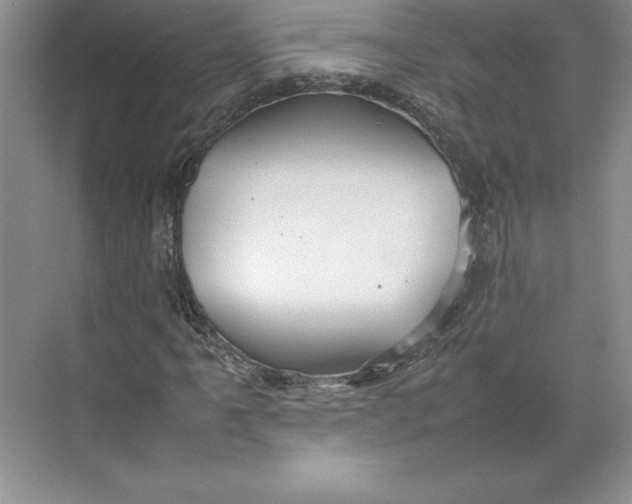 X0000074931061200609221633