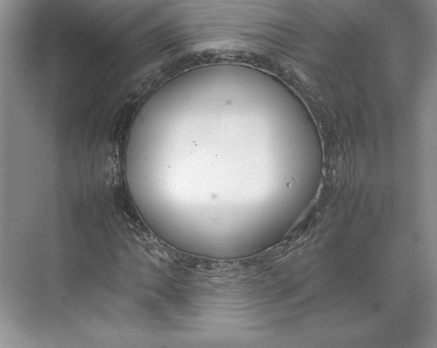 X0000074931062200609221633