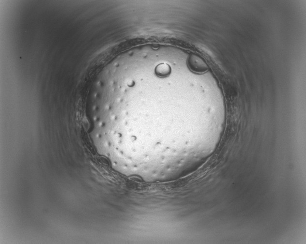 X0000074931063200609221633