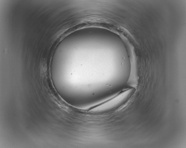 X0000074931065200609221633