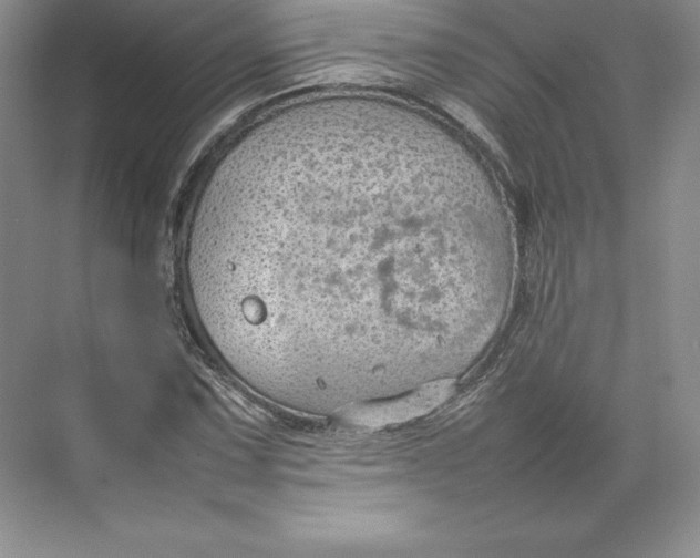 X0000074931067200609221633