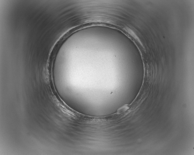 X0000074931068200609221633