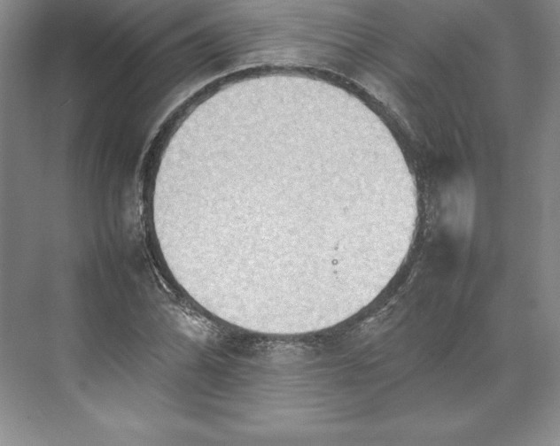 X0000074931070200609221633