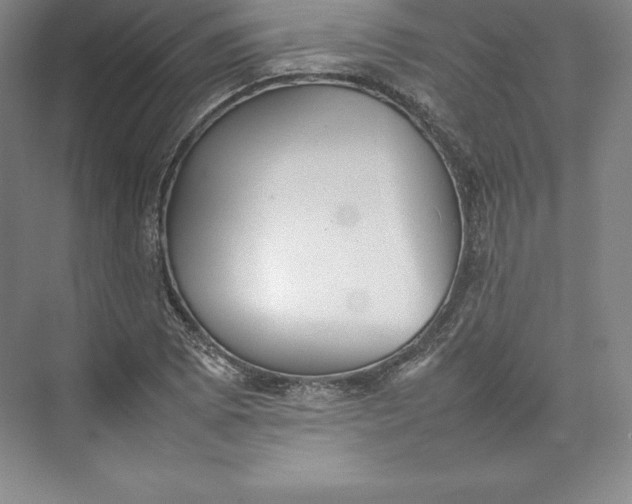 X0000074931073200609221633