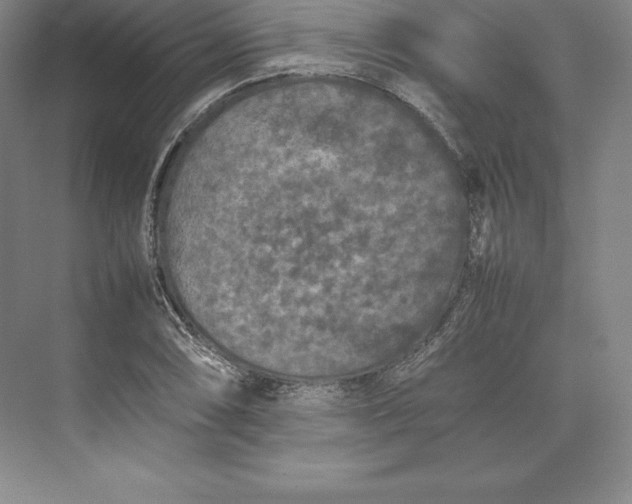 X0000074931074200609221633