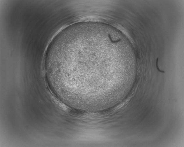 X0000074931075200609221633