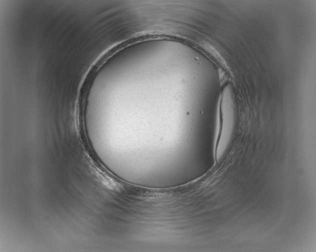 X0000074931076200609221633