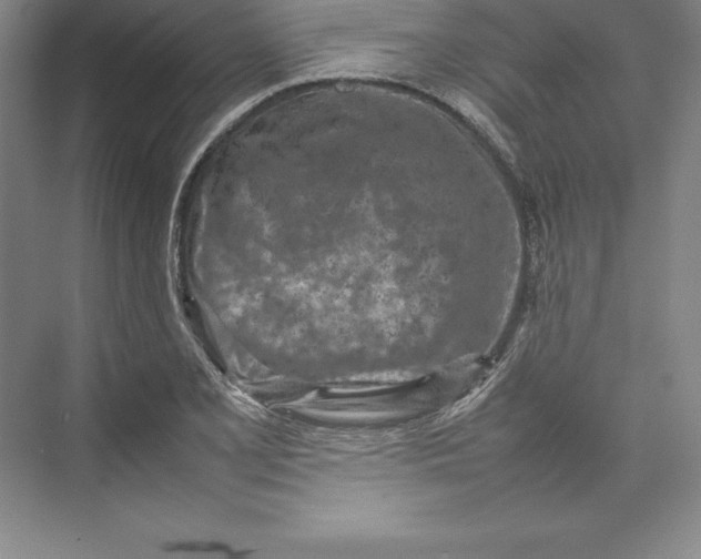 X0000074931077200609221633