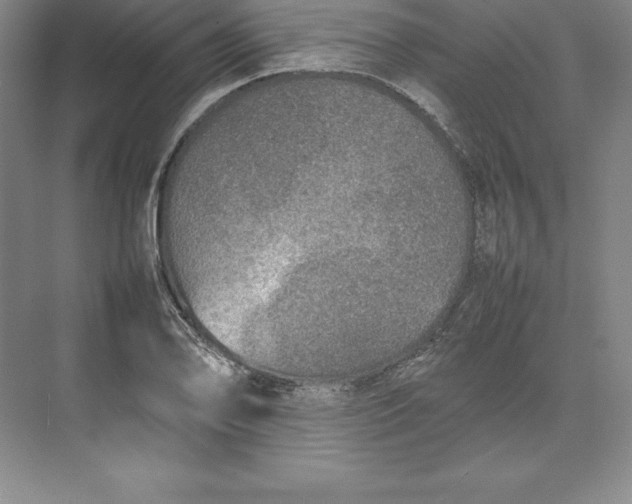 X0000074931078200609221633