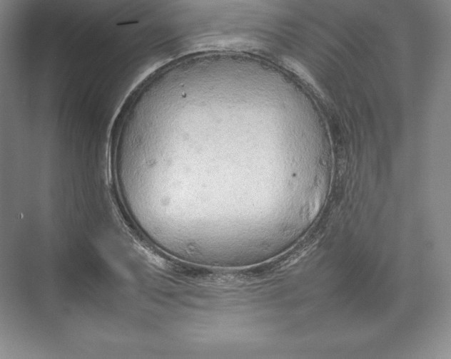 X0000074931079200609221633