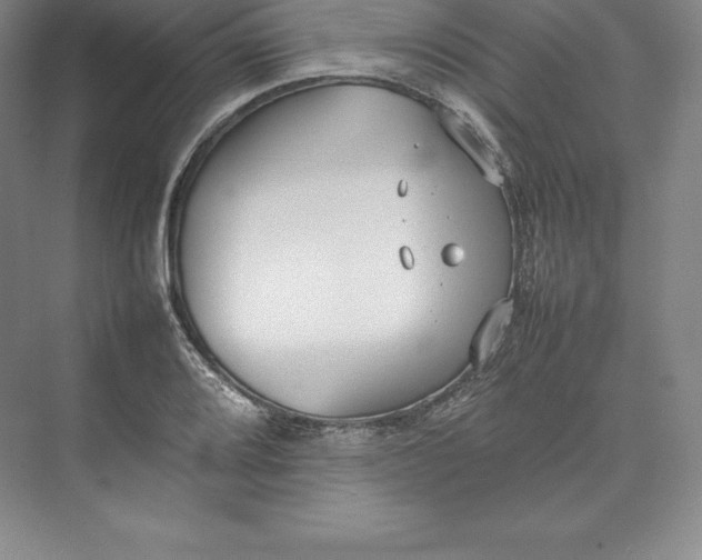 X0000074931080200609221633