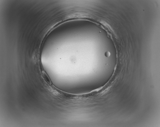 X0000074931081200609221633