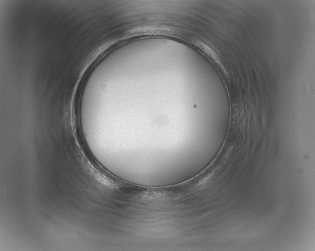 X0000074931082200609221633