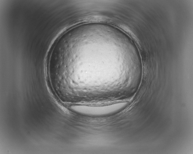 X0000074931083200609221633